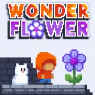Wonder Flower